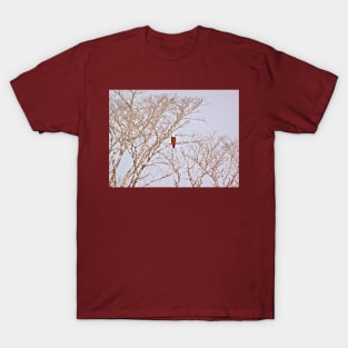 THE EAGLES TREES T-Shirt